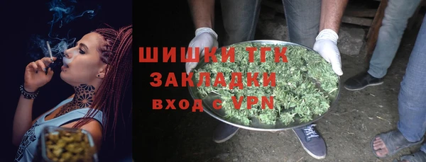 крисы Бородино