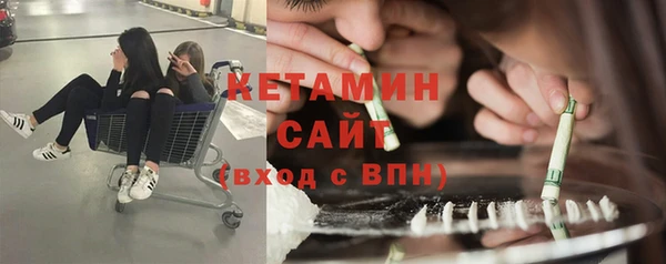 крисы Бородино
