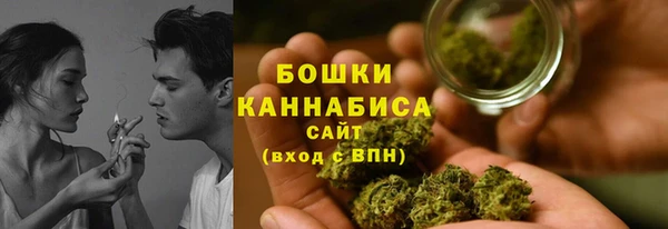 крисы Бородино