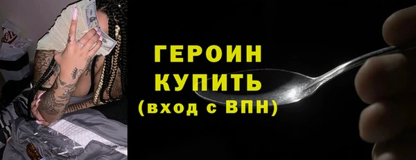 крисы Бородино