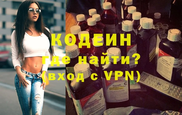 крисы Бородино