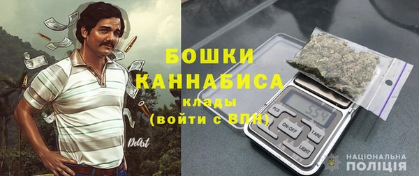крисы Бородино