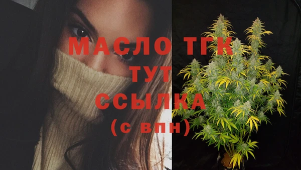 крисы Бородино
