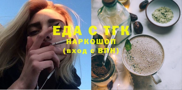 крисы Бородино