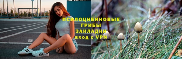 крисы Бородино