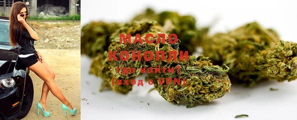 крисы Бородино