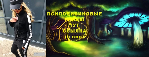 амф Бронницы