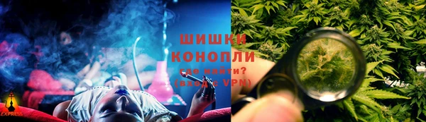 крисы Бородино