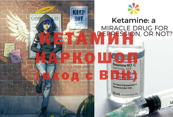 крисы Бородино